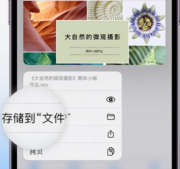 天津apple维修中心分享iPhone文件应用中存储和找到下载文件