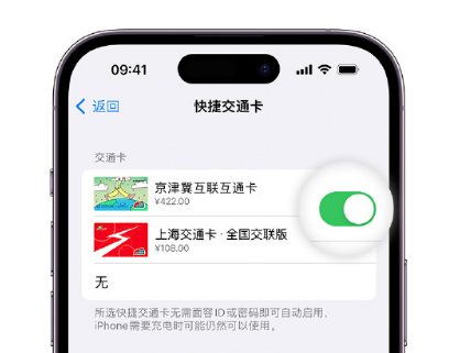 天津apple维修点分享iPhone上更换Apple Pay快捷交通卡手绘卡面 