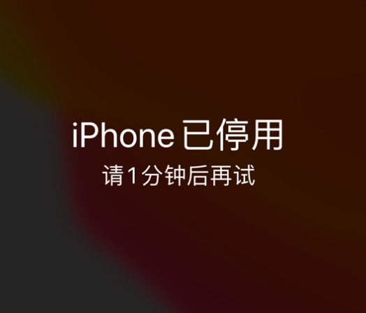 天津苹果手机维修分享:iPhone 显示“不可用”或“已停用”怎么办？还能保留数据吗？ 