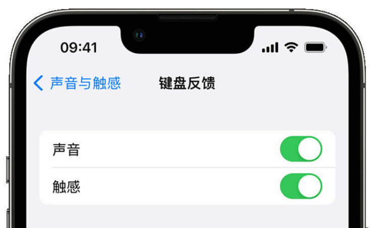 天津苹果手机维修分享iPhone 14触感键盘使用方法 