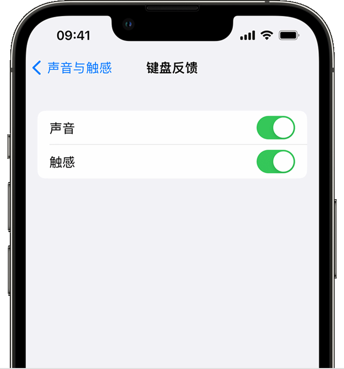 天津苹果14维修店分享如何在 iPhone 14 机型中使用触感键盘 