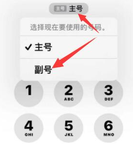 天津苹果14维修店分享iPhone 14 Pro Max使用副卡打电话的方法 