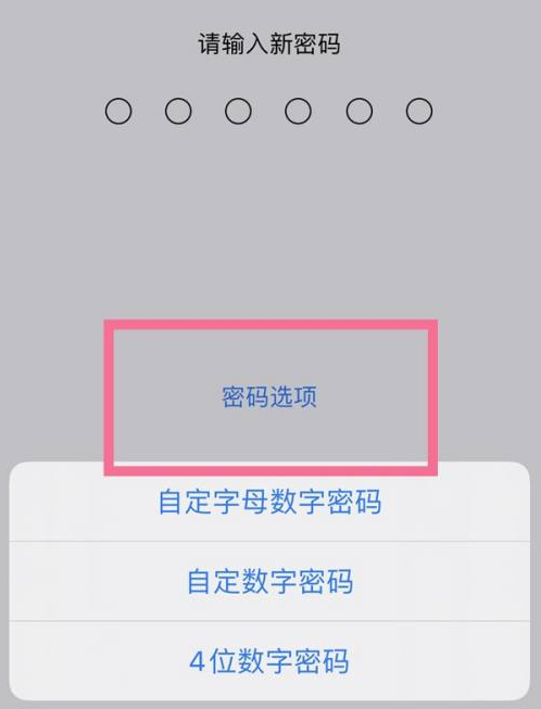 天津苹果14维修分享iPhone 14plus设置密码的方法 