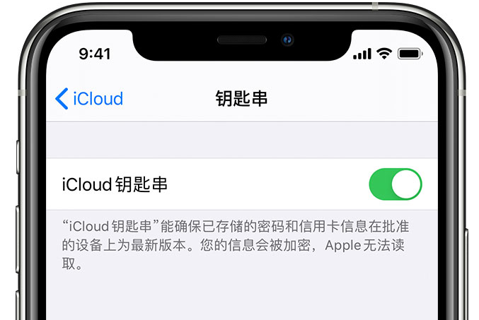 天津苹果手机维修分享在 iPhone 上开启 iCloud 钥匙串之后会储存哪些信息 