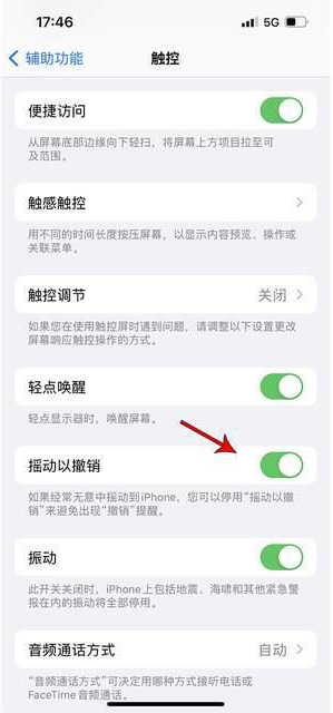 天津苹果手机维修分享iPhone手机如何设置摇一摇删除文字 