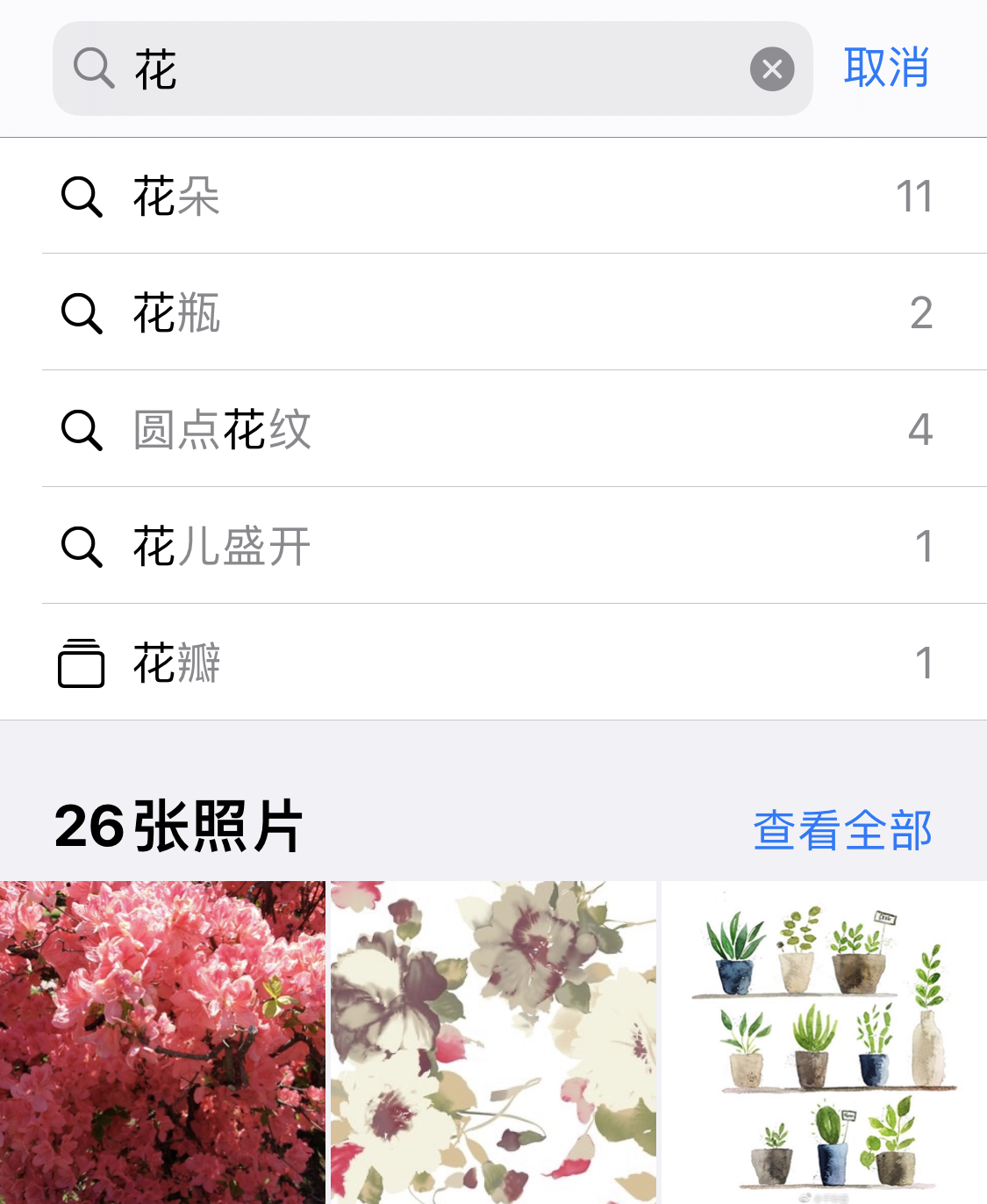 天津苹果手机维修分享iPhone 小技巧 