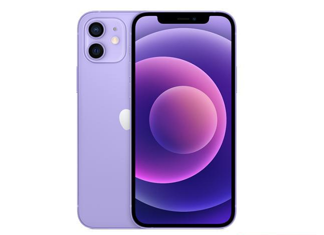 天津苹果手机维修分享现阶段要不要入手紫色版iPhone12 